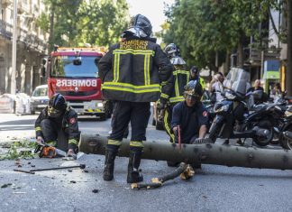 La tala indiscriminada de 500 hectáreas de árboles en Cataluña apunta a la presencia de Almeida en la manifestación constitucionalista