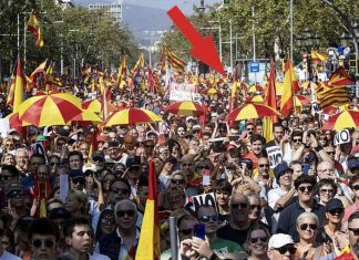 Según datos de la Policía, incluso tú fuiste a la manifestación contra la amnistía del pasado domingo