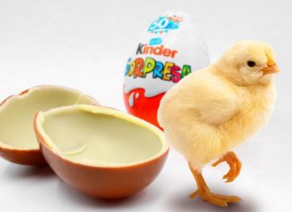 El calentamiento global obliga a Ferrero a vender pollos Kinder