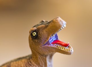 El hallazgo de un fósil “en sorprendente buen estado” permite deducir que los dinosaurios tenían pilas y botones y eran de plástico