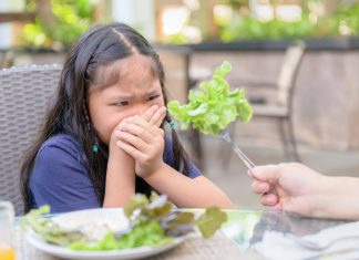 Los niños españoles se niegan a comer verdura «en apoyo a las protestas de los agricultores»