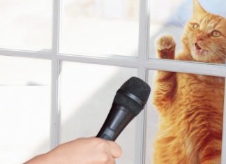 La Asociación Nacional de Gatos exige salir y entrar y salir y entrar y salir y entrar y salir