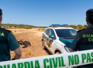 Encuentran muerto al burrito sabanero de un tiro en la cabeza