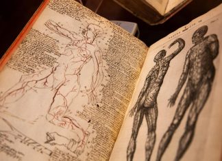 En un gesto de aperturismo y naturalidad, la Biblioteca Nacional acepta guardar en sus archivos, por primera vez, un libro en el que aparece “un pito”