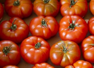 Un falso tomate raf tiene síndrome del impostor
