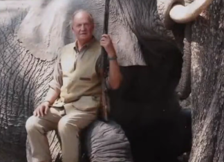 Juan Carlos I demanda al elefante que le rompió la cadera