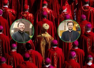 Que 108 de los 252 cardenales sean hijos directos del Papa Francisco debería asegurar una elección continuista en el Vaticano