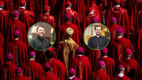 Que 108 de los 252 cardenales sean hijos directos del Papa Francisco debería asegurar una elección continuista en el Vaticano