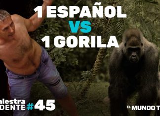 La Palestra Candente 45: 1 español vs 1 gorila, ¿quién ganaría?
