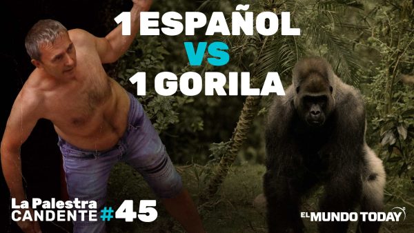 La Palestra Candente 45: 1 español vs 1 gorila, ¿quién ganaría?