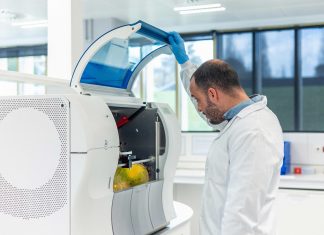 La física cuántica, incapaz de predecir si un melón está bueno o malo hasta que se abre