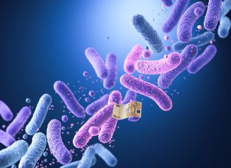 Se traga un billete de 50 euros para enriquecer su microbiota