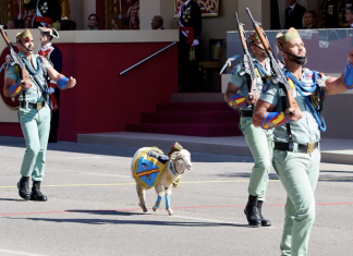 Los soldados españoles volvieron a apostar por el uniforme azul, la bandera de España y un fusil de complemento para el desfile de las Fuerzas Armadas