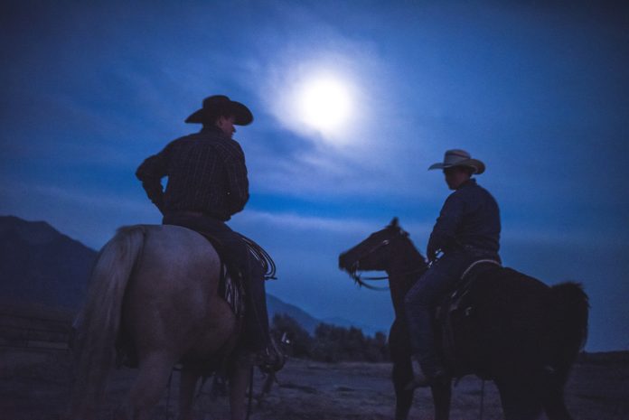 Cowboy riding a horse in nature at night