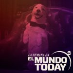 Pancho, el perro millonario, aparece citado 477 veces en los papeles de Epstein