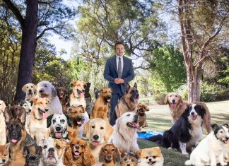 El CEO de Repsol comparece desde su casa con 26 perros más que el año pasado pidiendo que no se abandonen animales en las gasolineras porque sus hijos se los quieren quedar todos