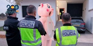 Estafa más de diez mil euros disfrazándose de cerdo con una ranura en el lomo
